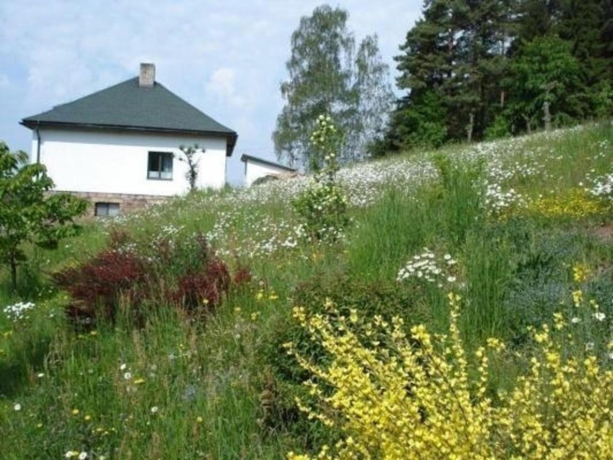 Ein Ferienhaus Mit Terrasse Und Garten Villa Male Svatonovice Buitenkant foto